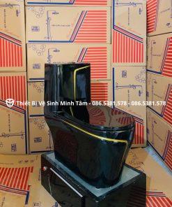 Trang chủ 52 Bồn Cầu DCV| Model : mã | MT